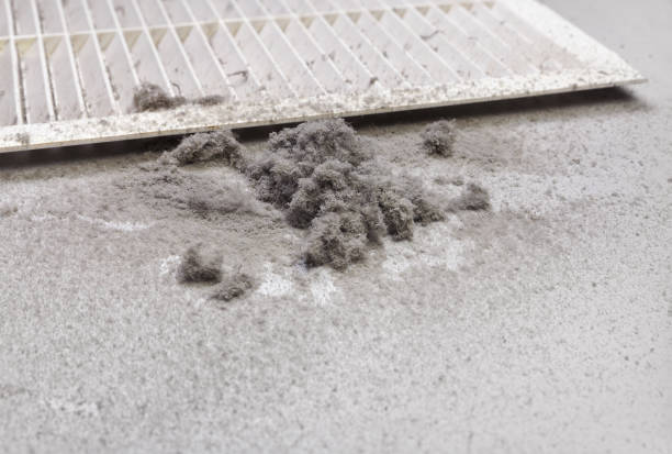 Best HVAC Air Duct Cleaning  in Pisgah, AL