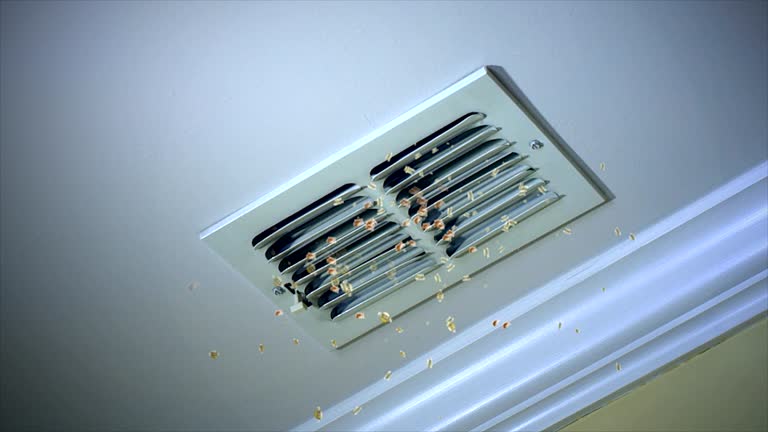 Best Home Air Vent Cleaning  in Pisgah, AL