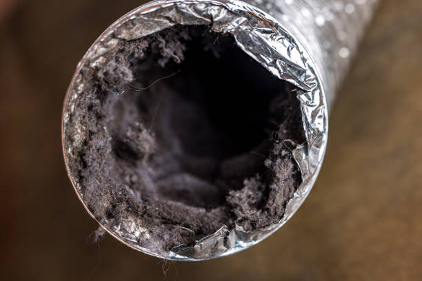 Best Affordable Duct Cleaning Services  in Pisgah, AL