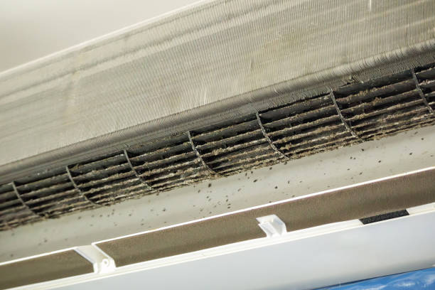 Best Home Air Vent Cleaning  in Pisgah, AL